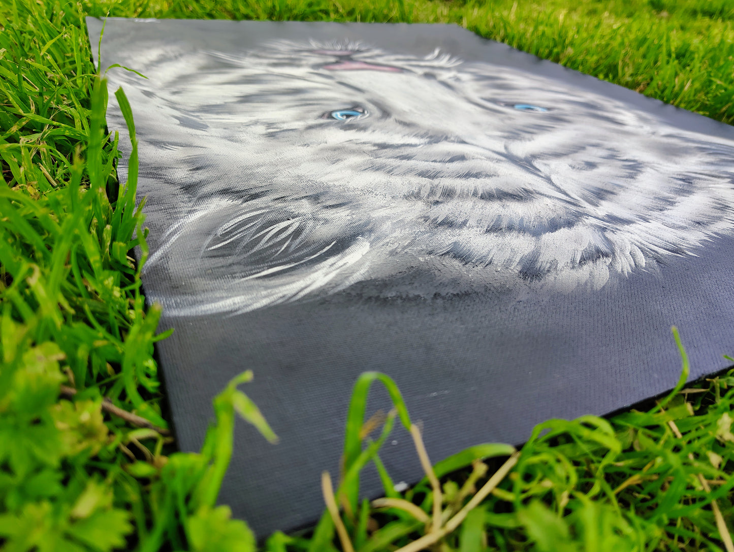 "The Gaze of Resilience"